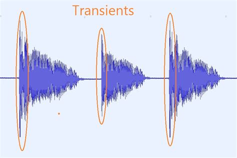 What is a transient in music, and how does it shape the rhythm of a butterfly's wings?